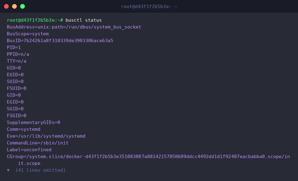 Inspecting busctl connection details
