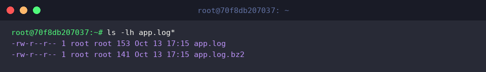Listing source and compressed log files with human-readable sizes