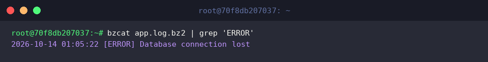 Filtering compressed log lines matching ERROR with bzcat and grep
