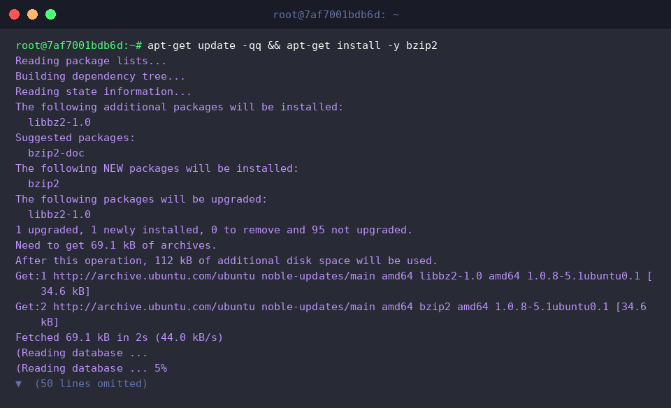 apt-get update -qq && apt-get install -y bzip2