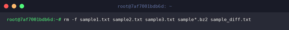 rm -f sample1.txt sample2.txt sample3.txt sample*.bz2 sample_diff.txt