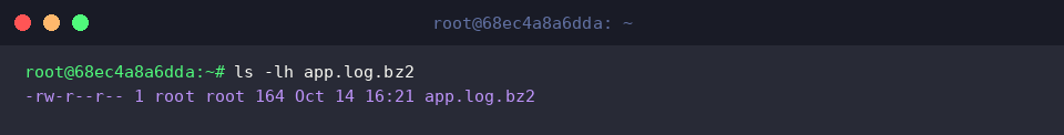 Überprüfung der Datei app.log.bz2