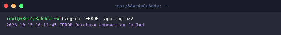 Fehlersuche mit bzegrep ERROR app.log.bz2