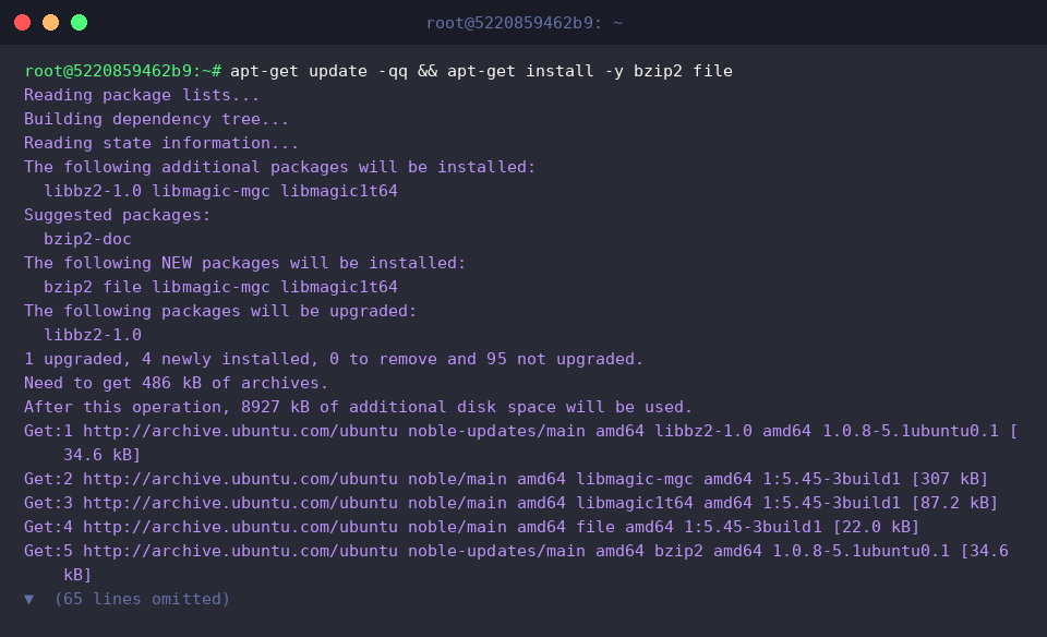 apt-get update -qq && apt-get install -y bzip2 file