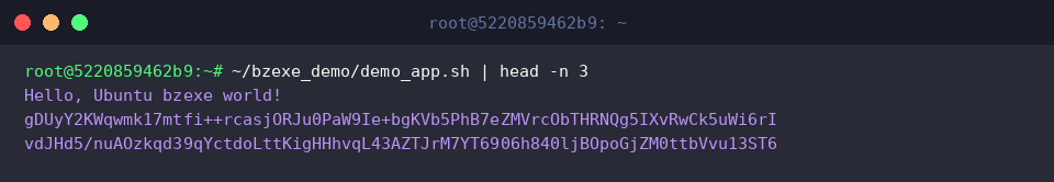 ~/bzexe_demo/demo_app.sh | head -n 3