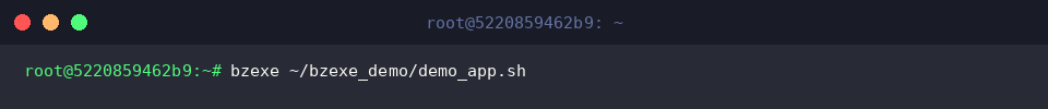 bzexe ~/bzexe_demo/demo_app.sh