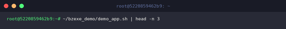 ~/bzexe_demo/demo_app.sh | head -n 3