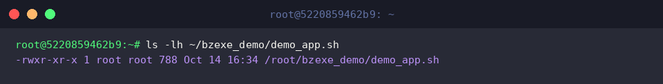 ls -lh ~/bzexe_demo/demo_app.sh