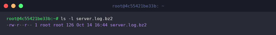 ls -l server.log.bz2