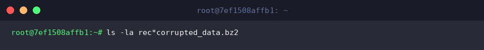 ls -la rec*corrupted_data.bz2
