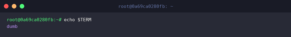 echo $TERM