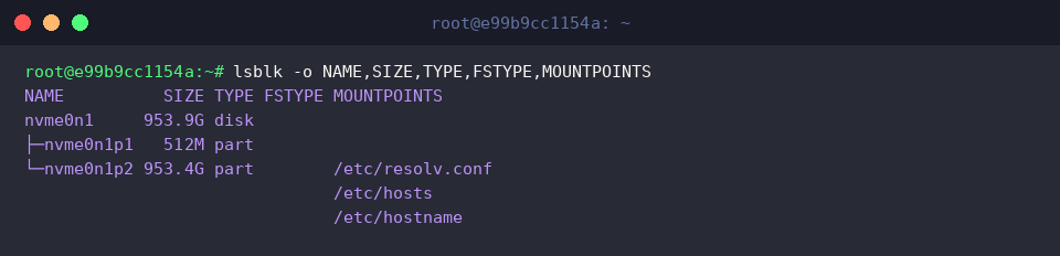 lsblk -o NAME,SIZE,TYPE,FSTYPE,MOUNTPOINTS