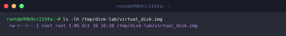 ls -lh /tmp/disk-lab/virtual_disk.img