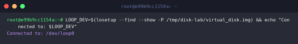 LOOP_DEV=$(losetup &ndash;find &ndash;show -P /tmp/disk-lab/virtual_disk.img) && echo &ldquo;Connected to: $LOOP_DEV&rdquo;
