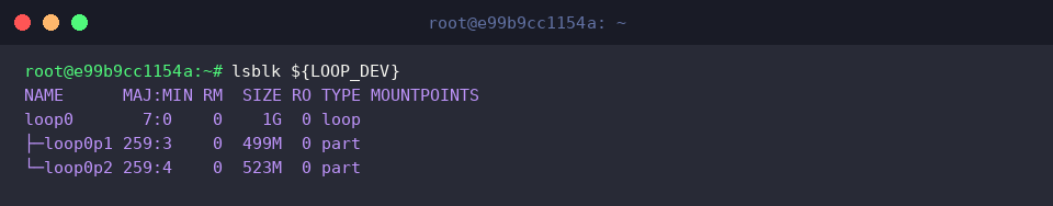 lsblk ${LOOP_DEV}