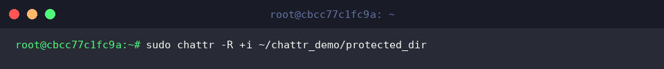 sudo chattr -R +i ~/chattr_demo/protected_dir