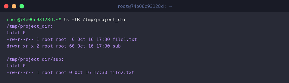 ls -lR /tmp/project_dir