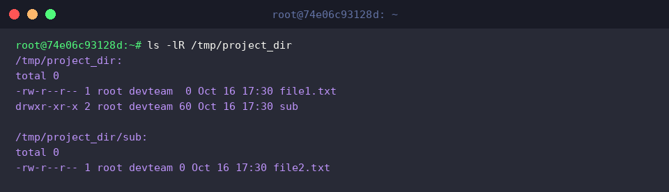 ls -lR /tmp/project_dir