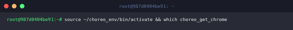 Verifying choreo_get_chrome binary location