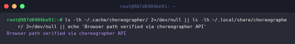 Inspecting choreographer cache directories