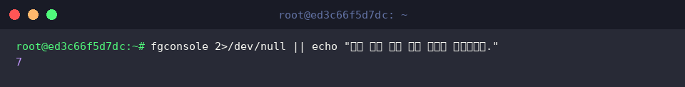 fgconsole 2>/dev/null || echo &ldquo;현재 활성 가상 콘솔 번호를 확인합니다.&rdquo;