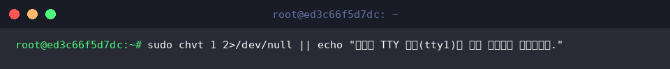 sudo chvt 1 2>/dev/null || echo &ldquo;지정한 TTY 번호(tty1)로 화면 포커스를 전환합니다.&rdquo;