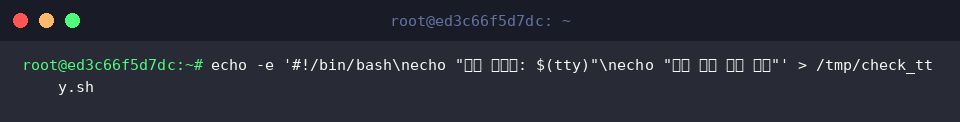 echo -e &lsquo;#!/bin/bash\necho &ldquo;현재 터미널: $(tty)"\necho &ldquo;콘솔 복구 준비 완료&rdquo;&rsquo; > /tmp/check_tty.sh