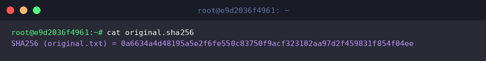 Display the generated checksum manifest