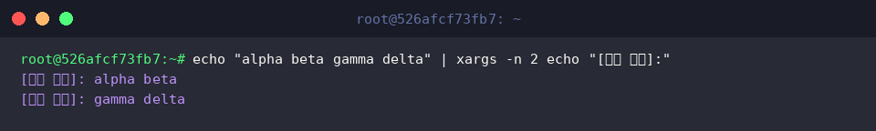echo &ldquo;alpha beta gamma delta&rdquo; | xargs -n 2 echo &ldquo;[인자 처리]:&rdquo;