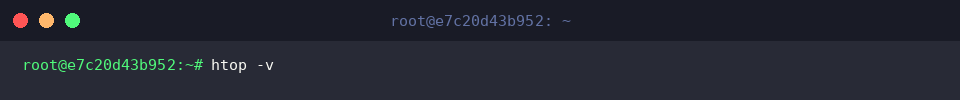Checking installed htop release version