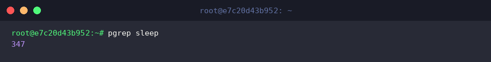 Querying PID of running sleep instances