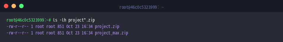 ls -lh project*.zip