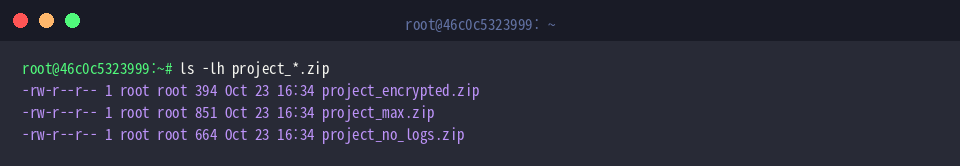 ls -lh project_*.zip