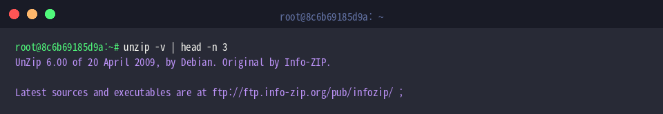 Memeriksa versi unzip yang terpasang