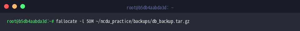fallocate -l 50M ~/ncdu_practice/backups/db_backup.tar.gz