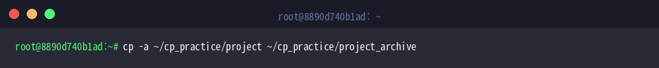 cp -a ~/cp_practice/project ~/cp_practice/project_archive