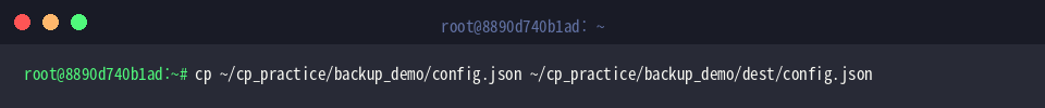 cp ~/cp_practice/backup_demo/config.json ~/cp_practice/backup_demo/dest/config.json