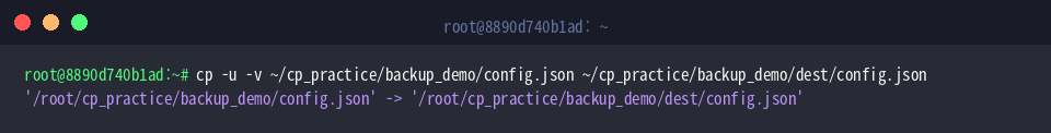 cp -u -v ~/cp_practice/backup_demo/config.json ~/cp_practice/backup_demo/dest/config.json