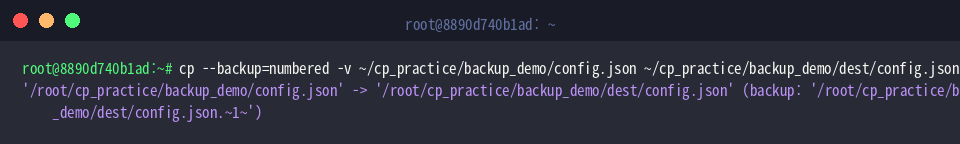 cp &ndash;backup=numbered -v ~/cp_practice/backup_demo/config.json ~/cp_practice/backup_demo/dest/config.json