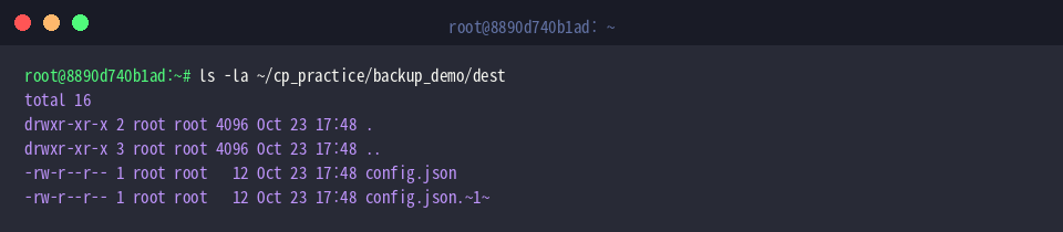 ls -la ~/cp_practice/backup_demo/dest