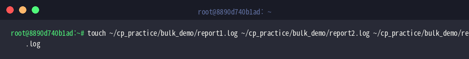 touch ~/cp_practice/bulk_demo/report1.log ~/cp_practice/bulk_demo/report2.log ~/cp_practice/bulk_demo/report3.log