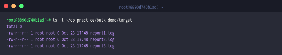 ls -l ~/cp_practice/bulk_demo/target