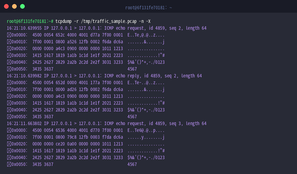 Reading and inspecting PCAP file with hex and ASCII dump