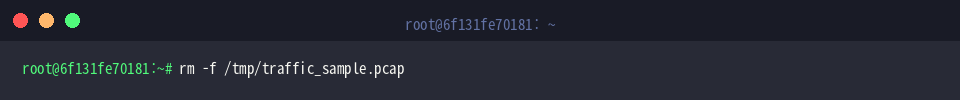 Cleaning up temporary PCAP file