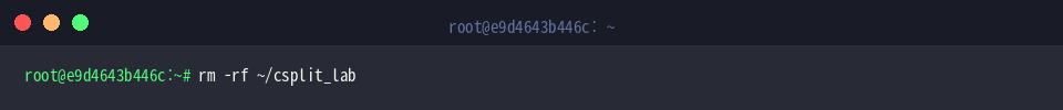 rm -rf ~/csplit_lab