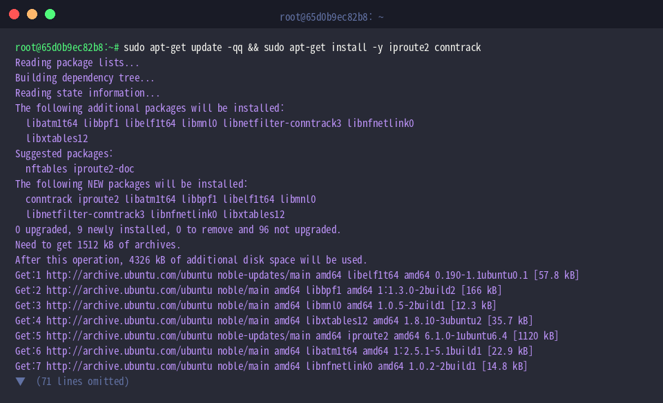 Install iproute2 and conntrack utilities