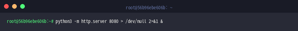 Hintergrundstart des Python-Webservers