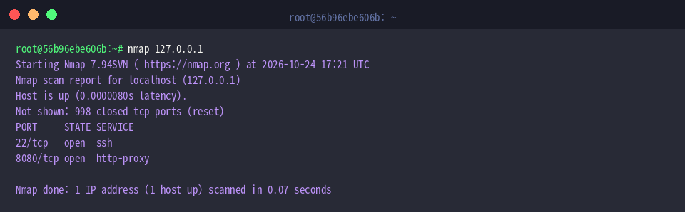 Standard-Scan gegen die Loopback-Adresse