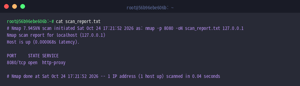Anzeige des generierten Scanberichts