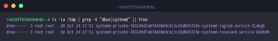 Überprüfung temporärer Verzeichnisse auf D-Bus- und systemd-Einträge
